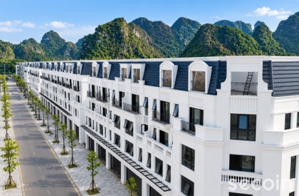 Ngói phẳng Pháp SE-24